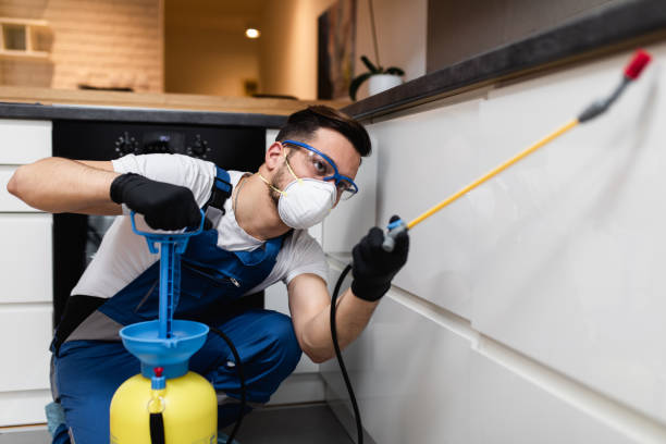 Best Best Pest Control Companies  in Yosemite Valley, CA