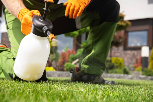 Best Exterminator Services  in Yosemite Valley, CA