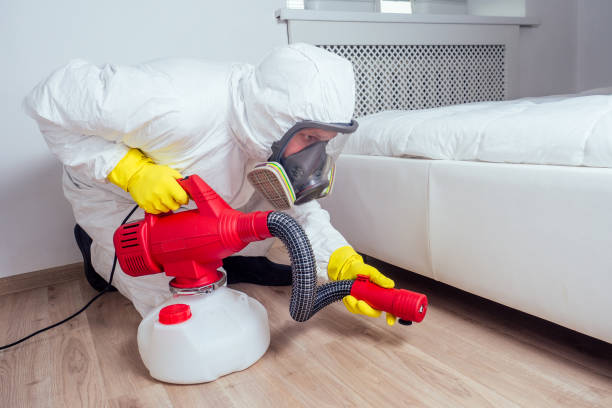 Best Ant Control Services  in Yosemite Valley, CA