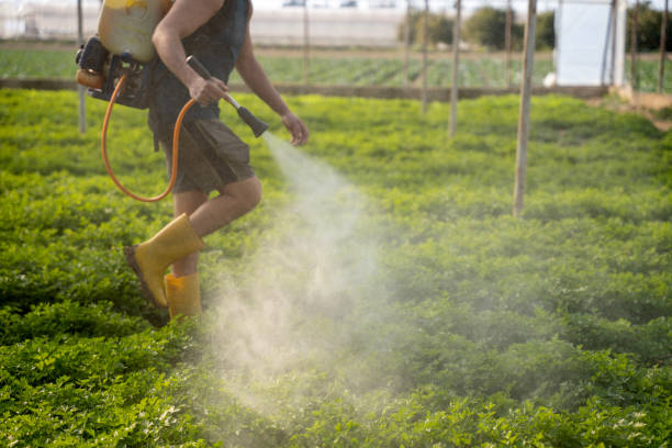 Best Affordable Pest Control Services  in Yosemite Valley, CA