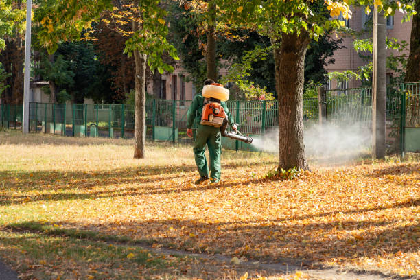 Yosemite Valley, CA Pest Control Company