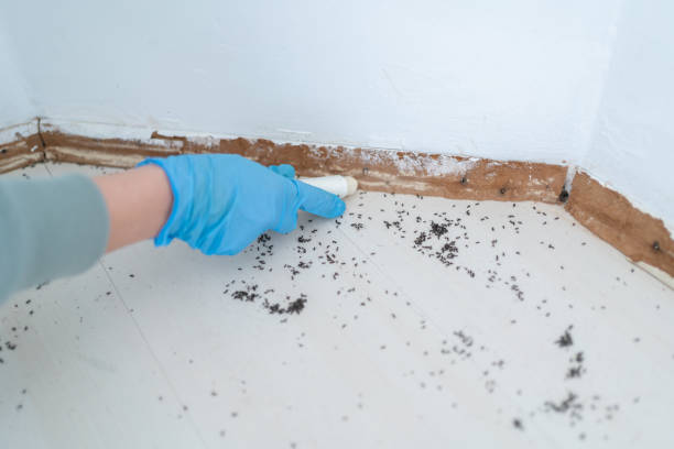 Best Emergency Pest Control  in Yosemite Valley, CA